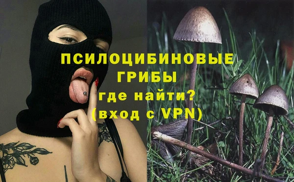 марки nbome Заводоуковск