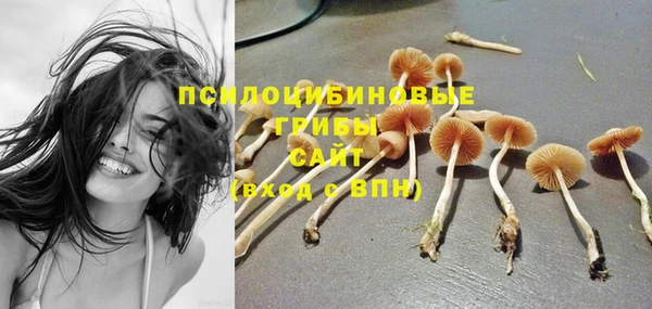 спайс Заволжье