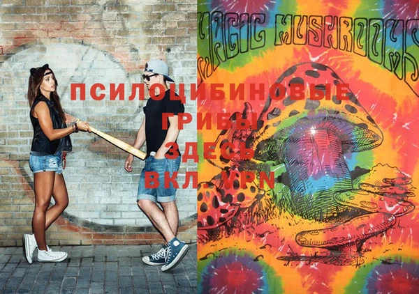 спайс Заволжье