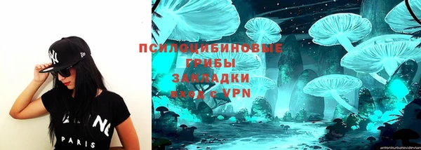 марки nbome Заводоуковск