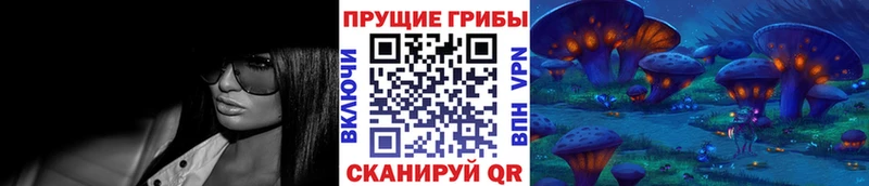 Псилоцибиновые грибы Psilocybine cubensis  Купить закладки  Ишим 